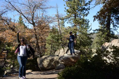 DSC_5147 (Large).JPG